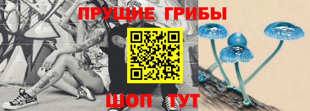 Галлюциногенные грибы Psilocybe Красноармейск