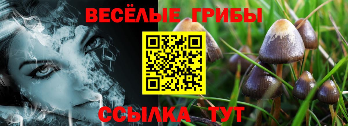 Псилоцибиновые грибы мицелий  Псилоцибиновые грибы GOLDEN TEACHER  Вход с VPN  Красноармейск 